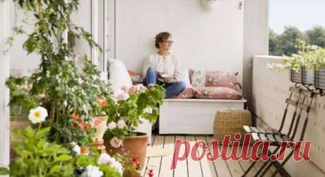 Какие цветы подходят для спальни, ванной, кухни, гостиной . Милая Я
