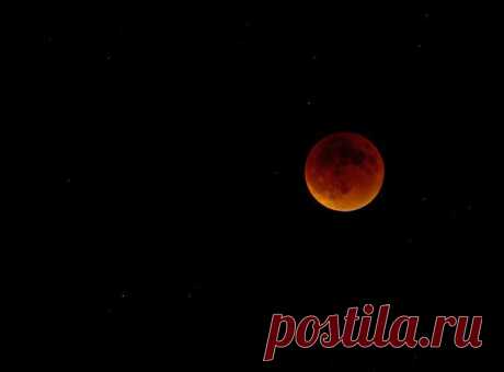 Автор фото: Анна Куманцова. | «Кровавая Суперлуна»: какой ее увидели жители Земли — National Geographic Россия