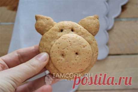 Печеньки «Хрю» (песочные) — рецепт с фото пошагово. Простой рецепт песочного печенья, который удивит. Кисель придаст вкусу фруктовые нотки. Веселая подача. Можно приготовить с детьми.