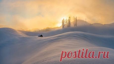 “Феерия цвета” | Фотоискусство