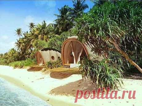 Жилой модуль Looper - передвижная дачка!