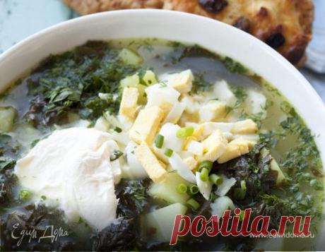 Приготовление тирамису, телятины в белом вине, щей из щавеля и как делать ватрушки: видеорецепт от Юлии Высоцкой Как испечь ватрушки с творогом в духовке, как приготовить щи из щавеля, классический тирамису, телятину в вине: видео и рецепт от Юлии Высоцкой