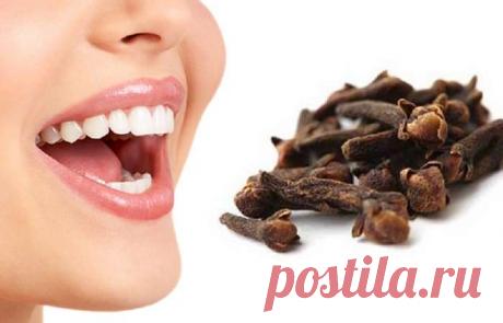 Польза сушеной гвоздики — Совет