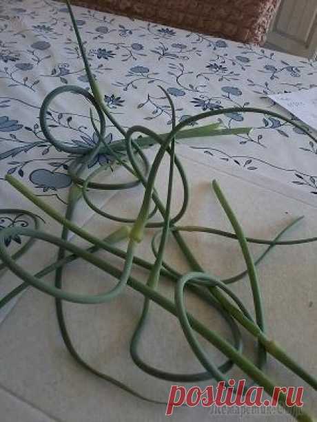 Закуска из чесночных стрелок Начался сезон уборки чесночных стрелок, а тут как раз наткнулась в инете на рецепт закуски из них. Немного он меня напряг, но решила попробовать т.к. раньше делала закуску пропуская стрелки через мясо...