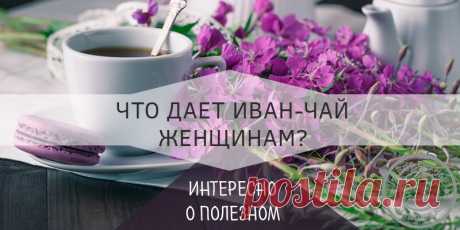 Недавно в тизерной рекламе заметила такое объявление: девушка отказалась от всех напитков и пила только воду. Ну что сказать, молодчинка. Вот только, зачем? Зачем нужны такие жертвы, если есть напитки, от которых самочувствие может улучшаться, и это благоприятно сказывается и на внешнем виде? Вот, например, давайте познакомимся – иван чай полезные свойства для женщин. Стоит узнать все об этом напитке или настое (как правильно в отношении травяных чаев, не знаю, возможно, и так, и так).
