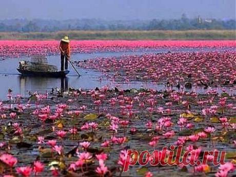 ▶ Наш мир прекрасен!!! - YouTube