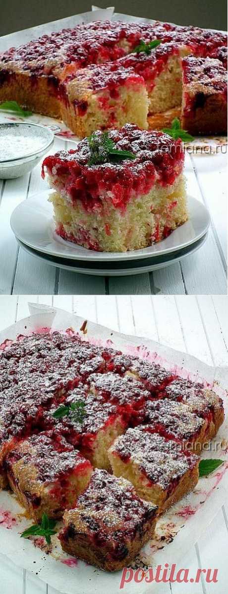 Легкий пышный пирог на кефире с красной смородиной | FEMIANA