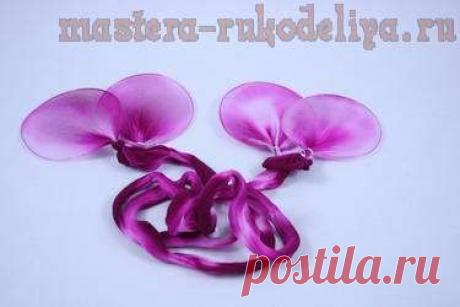 Мастера рукоделия - рукоделие для дома. Бесплатные мастер-классы, фото и видео уроки - Видео мастер-класс по цветам из капрона: Как ускорить создание лепестков