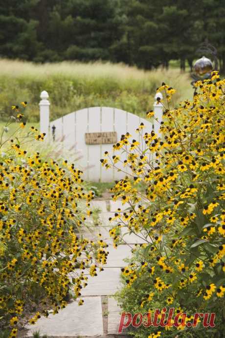 Модные тенденции в ландшафтном дизайне | Elle
