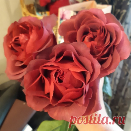 Вопрос ♥ Ответ Подскажите, пожалуйста, как называется сорт роз? Цвет необычный, не бордовый...