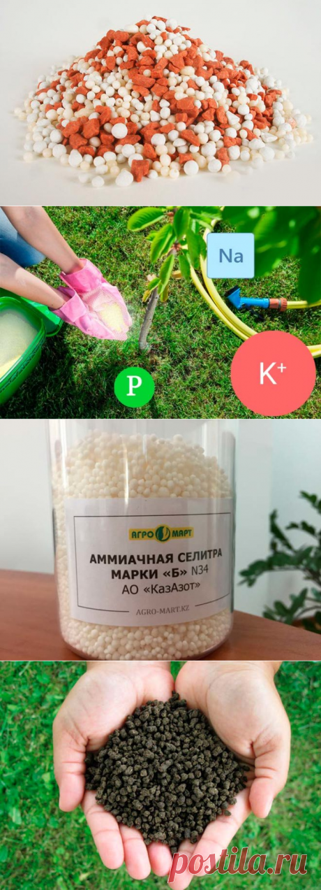 Как правильно применять азотно-фосфорно-калийное удобрение