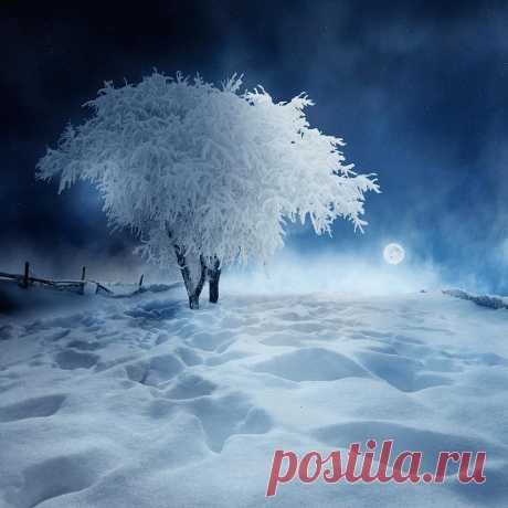 Дивный день в кружении снега, и зима не хочет уходить...