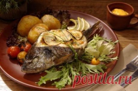 Золотая рыбка дорадо – исполнит все гастрономические мечты