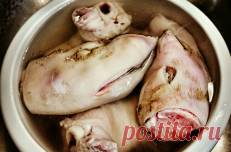 6 СЕКРЕТОВ ИДЕАЛЬНОГО ХОЛОДЦА
Желеобразное, студенистое блюдо с волокнами мяса, овощами и чесноком — кому-то такая кулинарная фантазия может показаться ненормальной, но мы то с вами знаем, что нет ничего вкуснее прозрачного навар…