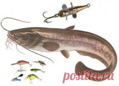 6 способов ловли сома на искусственную приманку