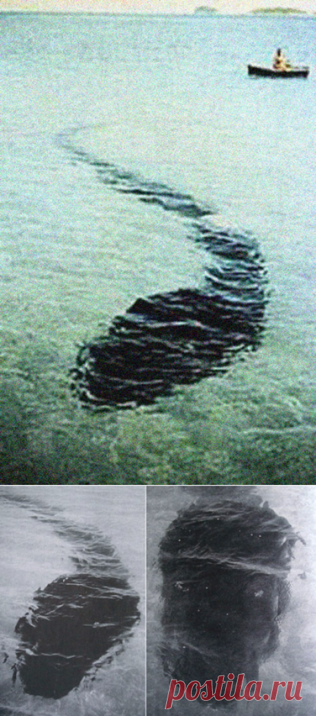 ЧУДОВИЩЕ ОСТРОВА ХУК