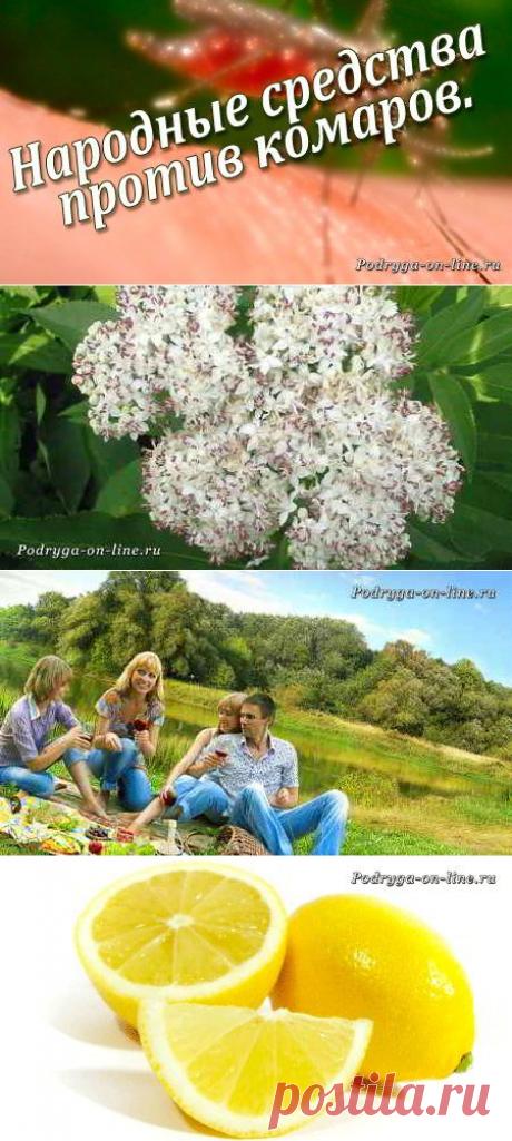 Как защититься от укусов комаров. Народные средства против комаров. | Подруга Он-лайн