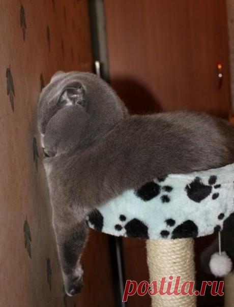 Что ты знаешь об удобстве?