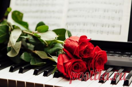 Фотообои с цветами для творчества.