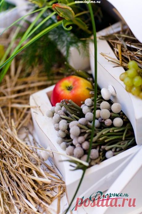 Школа флористики Ла Флорисель - это обучение искусству создания оригинальных композиций из цветов. Курсы флористики в Москве разработаны с учетом особенностей каждого отдельного вида этого декоративно-прикладного искусства.