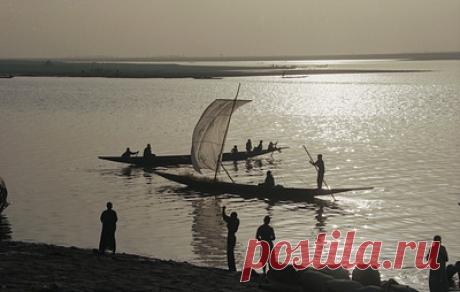 Журналист WP сообщил о согласии США вывести своих военнослужащих из Нигера. По словам Джона Хадсона, этот шаг "изменит готовность" американских сил к проведению контртеррористических операций в Западной Африке