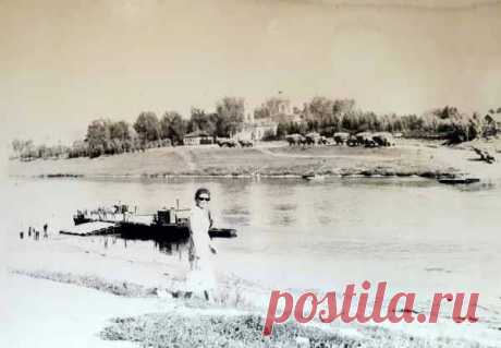 Яндекс Картинки: поиск по изображению