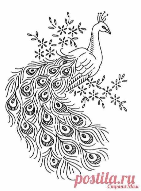Старинные рисунки - шаблоны для вышивки. Павлины, бабочки, зверушки и разные птички. - Клуб рукоделия - Страна Мам