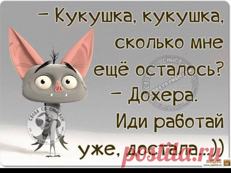 юмор в картинках с надписями до слез про жизнь: 8 тыс изображений найдено в Яндекс.Картинках