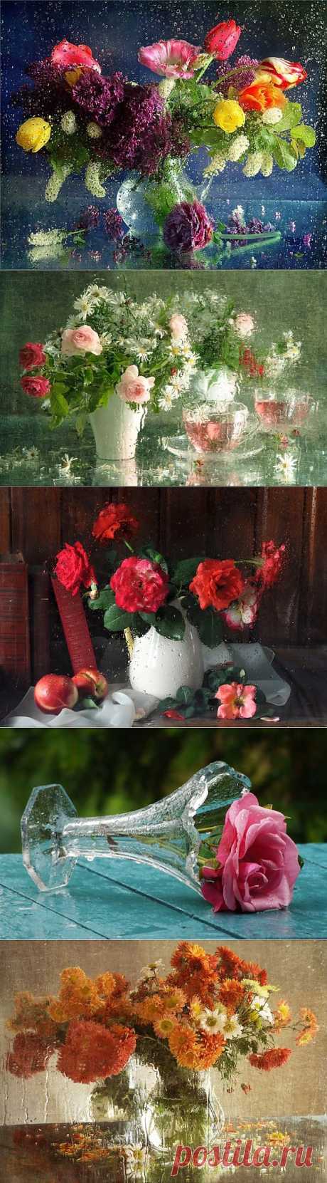 Натюрморты с дождем!.