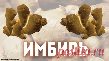 Имбирь: 7 полезных свойств этого растения для здоровья
Имбирь - это великолепное растение с очень большим влиянием в медицине.
История этого лекарственного растения начинается около 5000 лет назад и с тех пор оно является хорошим средством для лечения тошноты и рвоты.