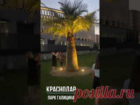 Краснодар парк Голицина