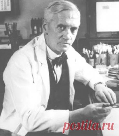 Наша удивительная планета: Принцип бумеранга