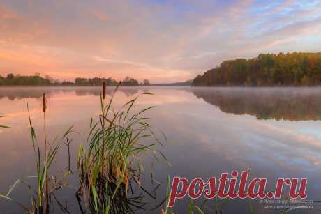 akm.sonar.au — «Сентиментальность провинциального рассвета.» на Яндекс.Фотках