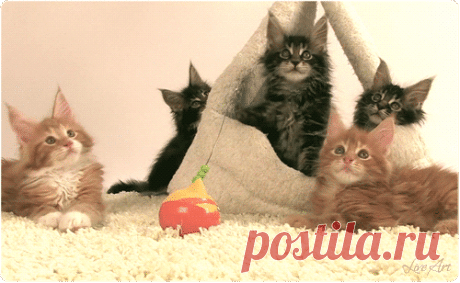 Мой Мир@Mail.Ru