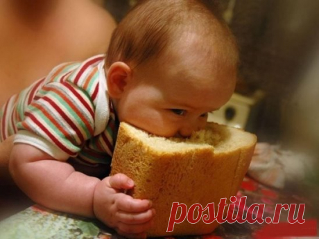 Нет зрелища приятнее на свете, чем с аппетитом лопающие дети