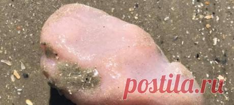 Посмотрите, на какую неведомую штуку наткнулся американец во время прогулки по пляжу. Оно живое! И очень загадочное.