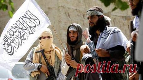 Бывший вице-президент Афганистана обвинил талибов в убийстве 13 человек на свадьбе — Рамблер/новости