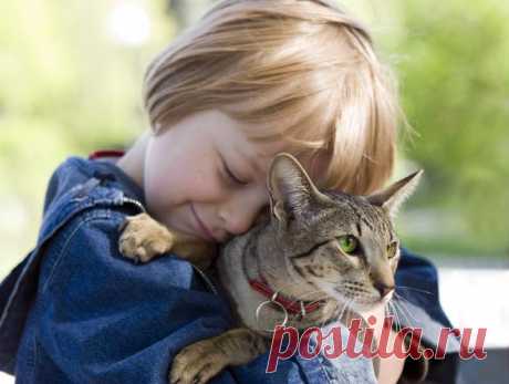 Самая тёплая одежда для сердца - это доброта. Доброта, как глубина мира, которая измеряется лишь глубиной мира собственной души