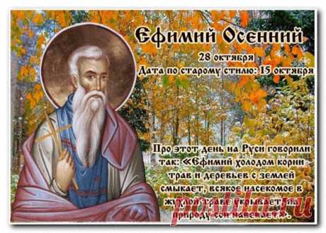 Желаем счастья и терпенья,
Здоровья, радости, любви.
Пусть будут светлыми мгновенья,
И сбудутся мечты свои. Открытки на День памяти Ефимия Осеннего!