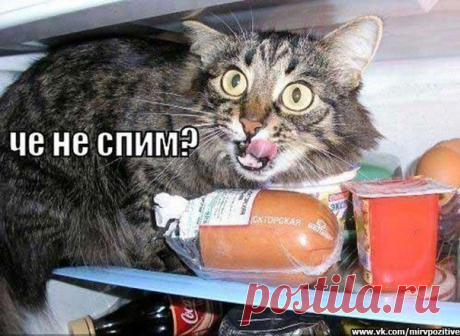 Диалоги