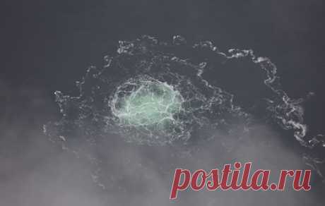 В Пентагоне заявили, что США не причастны к подрыву "Северных потоков". Ранее американский публицист Сеймур Херш в своей статье утверждал, что взрывные устройства под российскими газопроводами заложили под прикрытием учений водолазы ВМС США