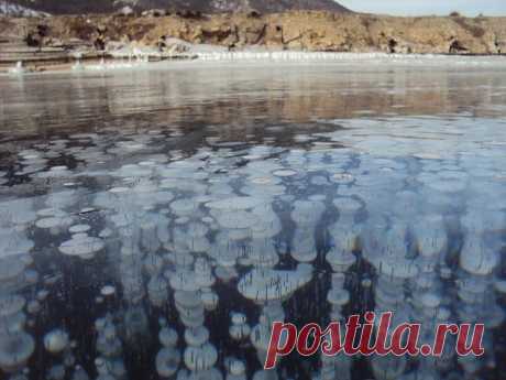 Одноклассники