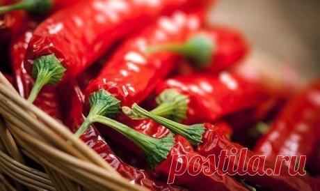 Полезные советы