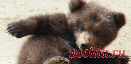 9-минутная тренировка, способная заменить поход в тренажерный зал