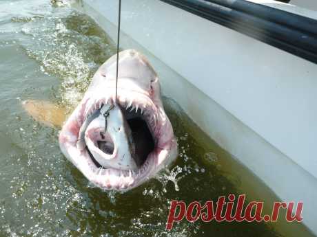 12 невероятных фотографий, которые выглядят как фальшивка, но это не