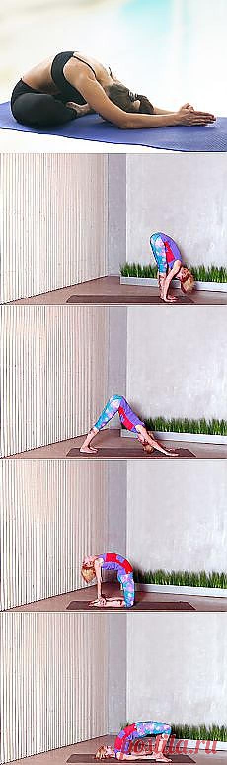 Поиск на Постиле: укрепление иммунитета