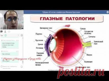 «САД ACLON» Глазные патологии и флуревиты Краснов М 16 01 17