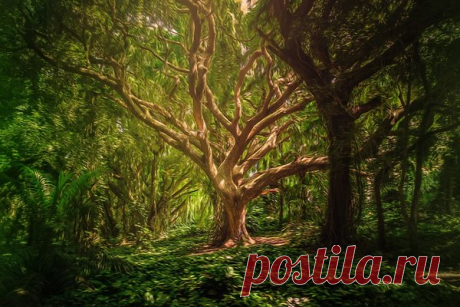 Древне - Славянские слова обереги от бед, несчастий и неудач! | СверхЪестественное. | Яндекс Дзен