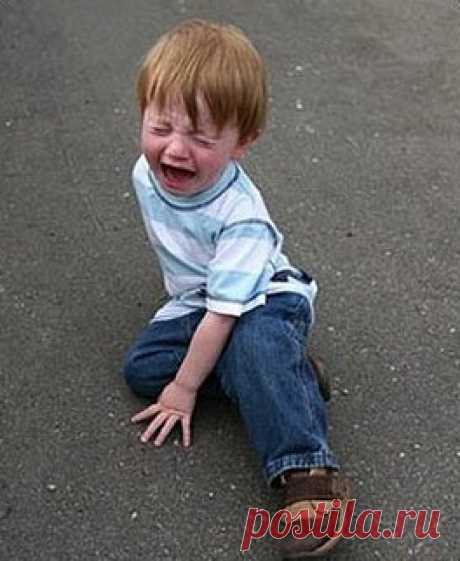 Детская территория. Без слез и истерик. Детский сад