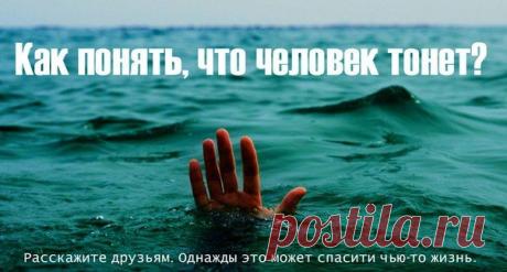Утопающие редко похожи на тонущих (5 фото) | Страна Полезных Советов